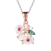 N5305 - penelope-it.com